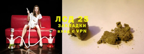 твердый Новозыбков