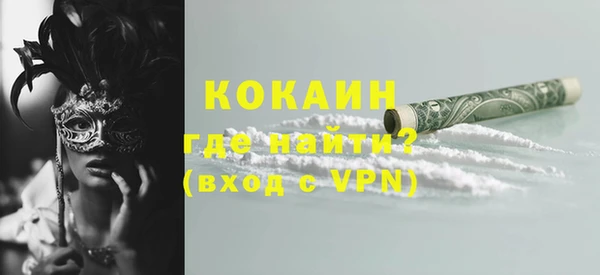 твердый Новозыбков