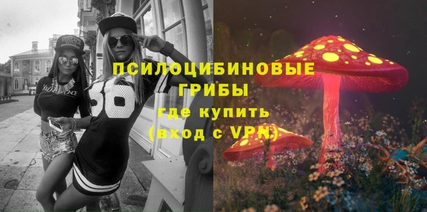 твердый Новозыбков