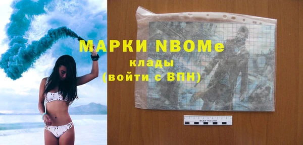 твердый Новозыбков